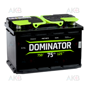 Dominator 75R 750А 278x175x190