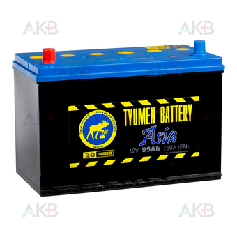 Автомобильный аккумулятор Tyumen Battery Asia 95 Ач прям. пол. 750A (302x173x225)