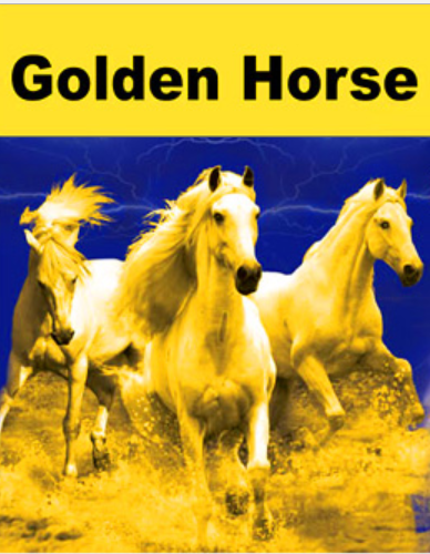 Аккумуляторы для автомобилей Golden Horse