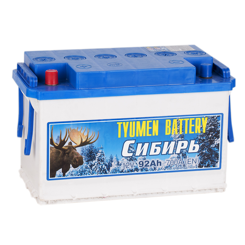 Аккумулятор Купить 95ач 700а