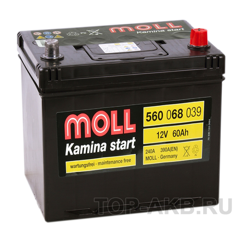 Автомобильный аккумулятор Moll Kamina Start Asia 60R 390A (230x170x225)