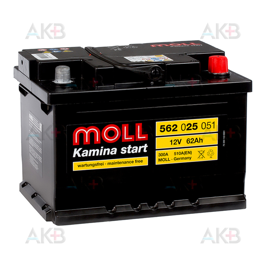 Автомобильный аккумулятор Moll Kamina Start 62SR низкий 510A (242x175x175)