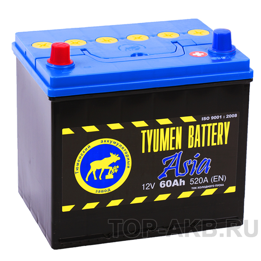 Автомобильный аккумулятор Tyumen Battery Asia 60 Ач прям. пол. 520A (232x173x225)