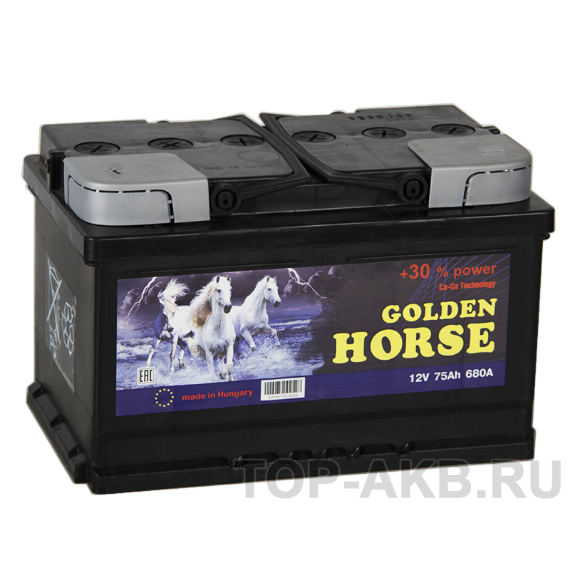 Автомобильный аккумулятор Golden Horse 75L низкий 680А 278x175x175