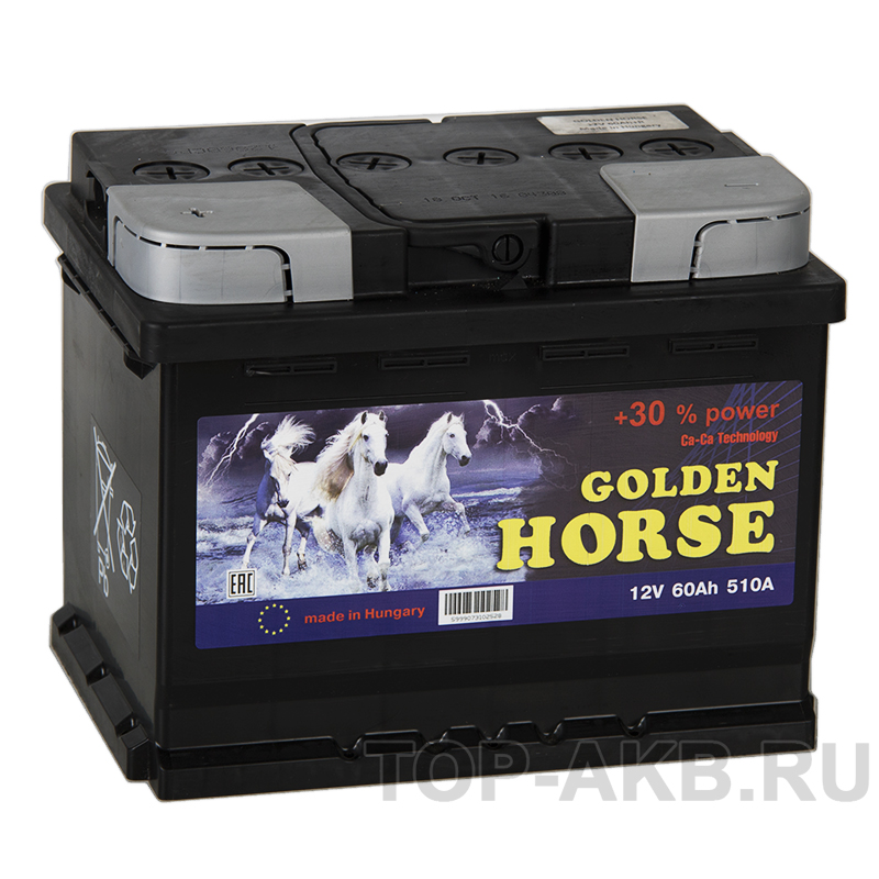 Автомобильный аккумулятор Golden Horse 60L 510А 242x175x190