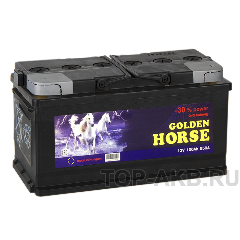 Автомобильный аккумулятор Golden Horse 100R 850А 353x175x190