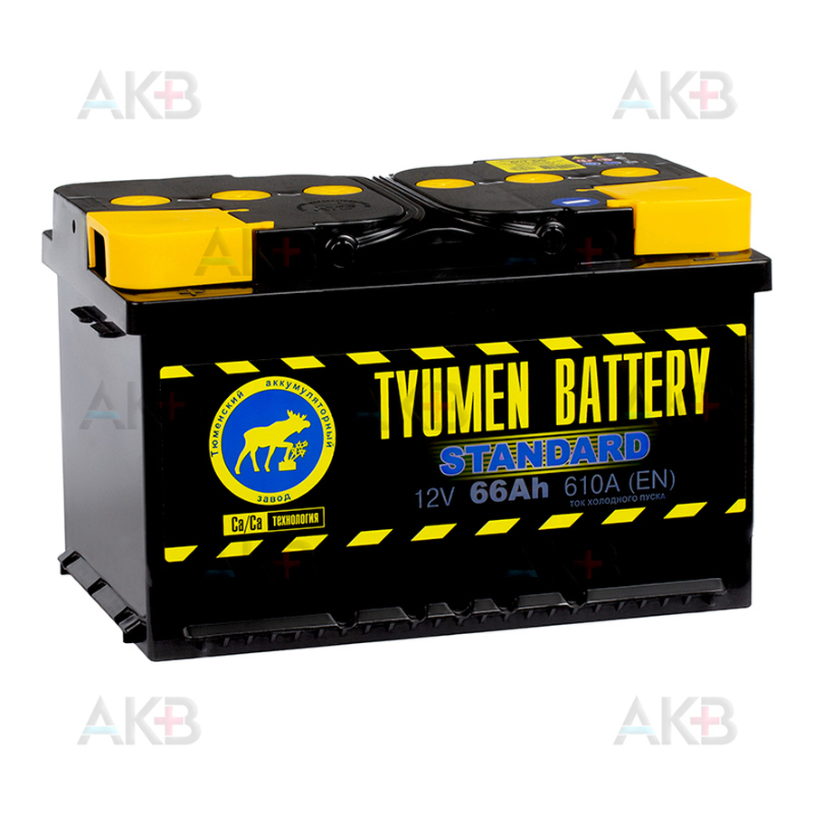 Автомобильный аккумулятор Tyumen Battery Standard 66 Ач прям. пол. 580A (278x175x175)