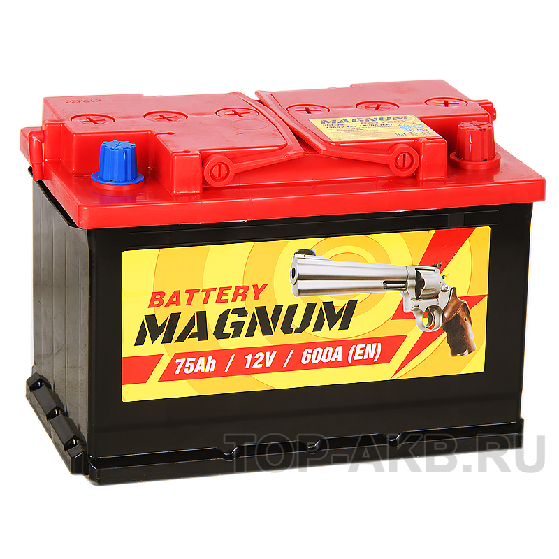 Автомобильный аккумулятор Magnum 75R 600A 278x175x190