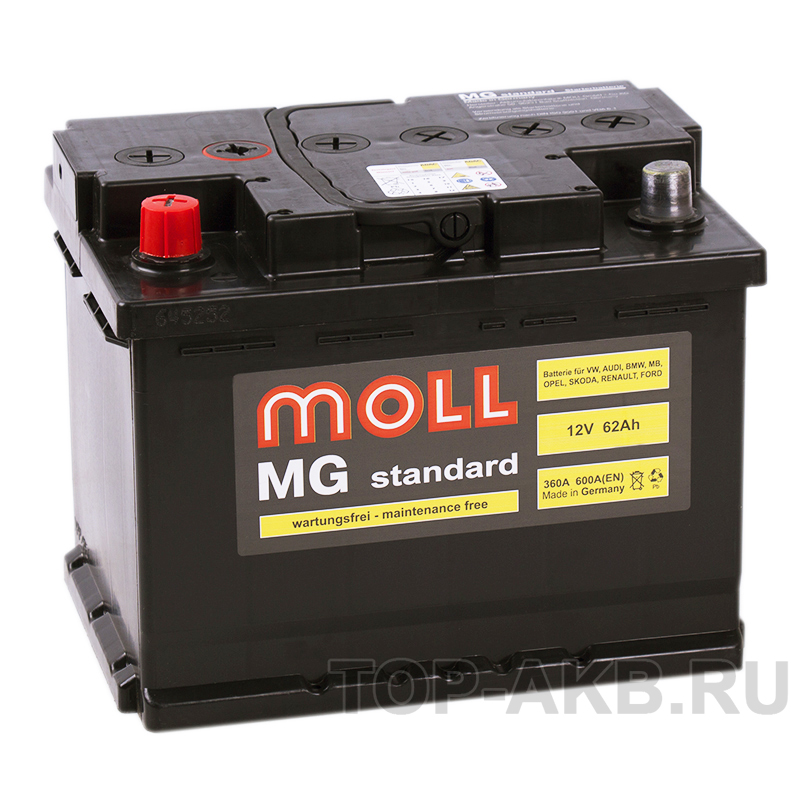 Автомобильный аккумулятор Moll MG Standard 62L 600A 242x175x190
