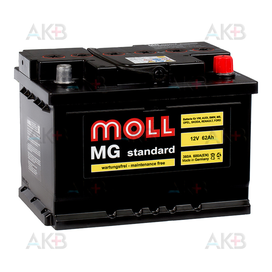 Автомобильный аккумулятор Moll MG Standard 62R 600A 242x175x190