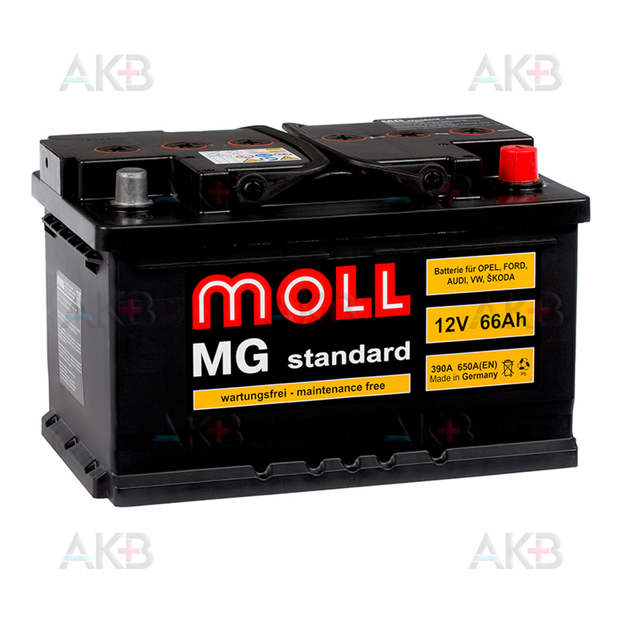 Автомобильный аккумулятор Moll MG Standard 66R 650A 278x175x175