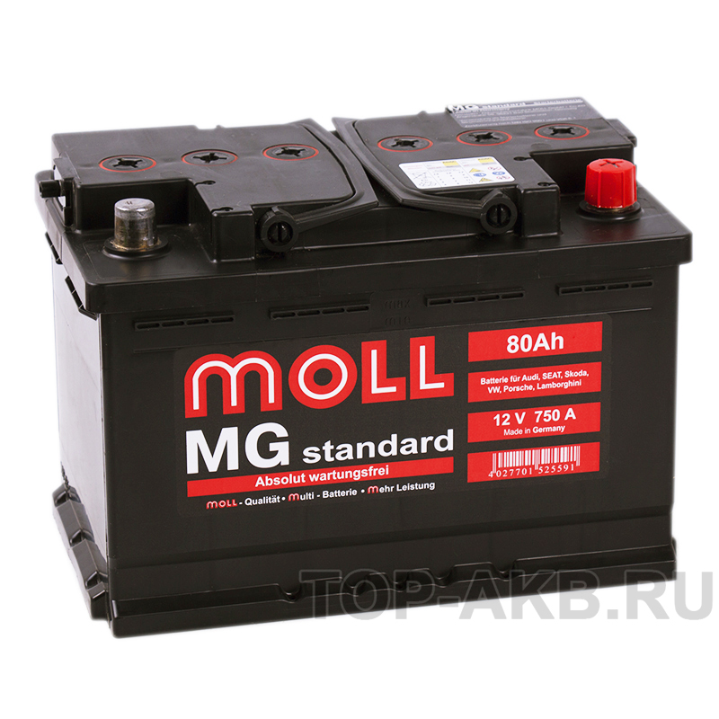 Автомобильный аккумулятор Moll MG Standard 80R 750A 276x175x190
