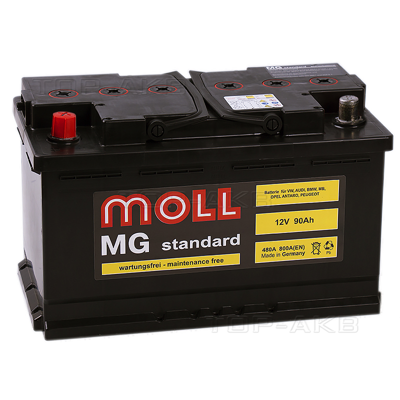 Автомобильный аккумулятор Moll MG Standard 90L 800A 315x175x190