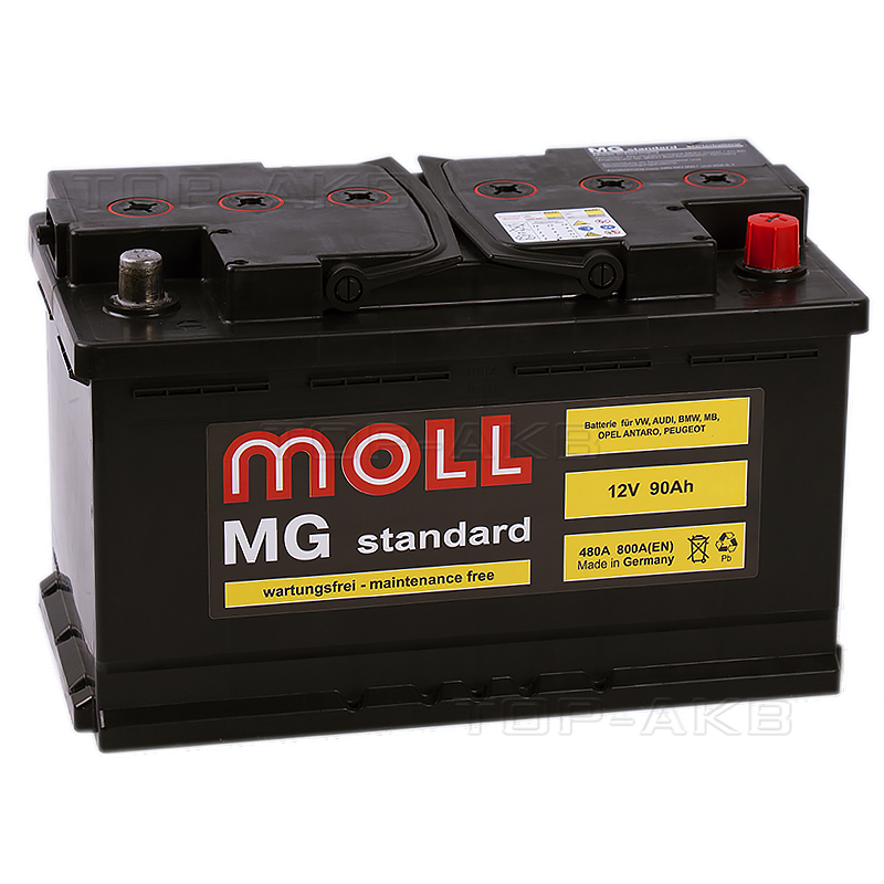 Автомобильный аккумулятор Moll MG Standard 90R 800A 315x175x190