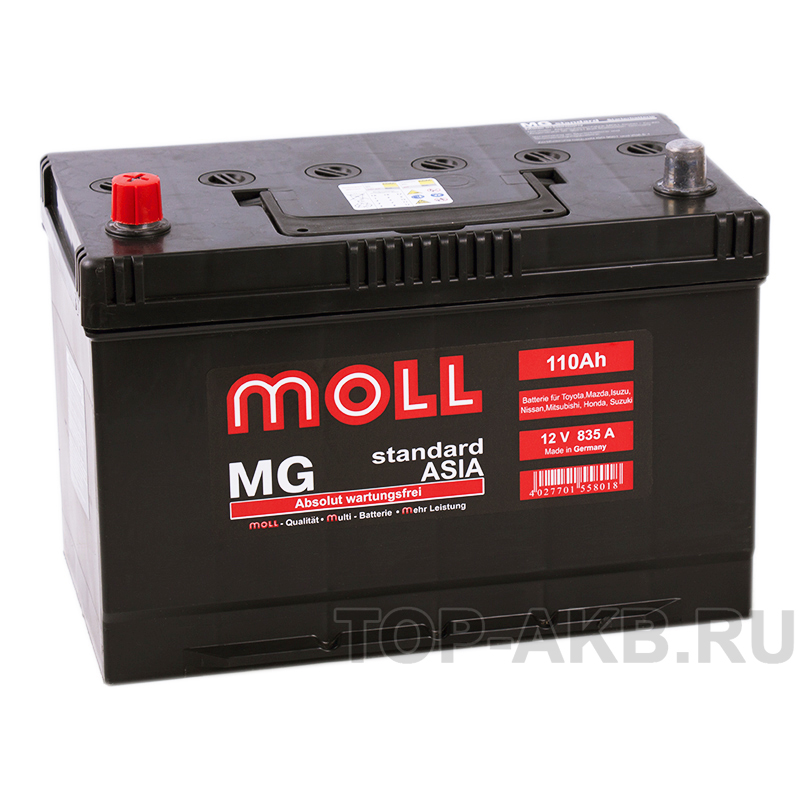 Автомобильный аккумулятор Moll MG Standard Asia 110L 835A 292x170x215
