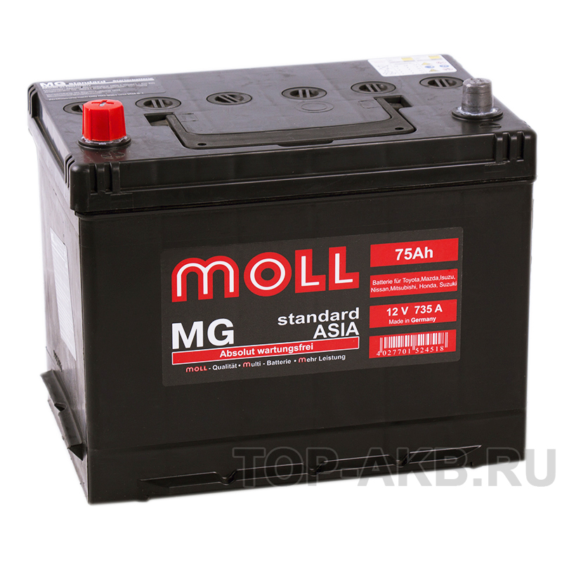 Автомобильный аккумулятор Moll MG Standard Asia 75L 735A 250x170x220