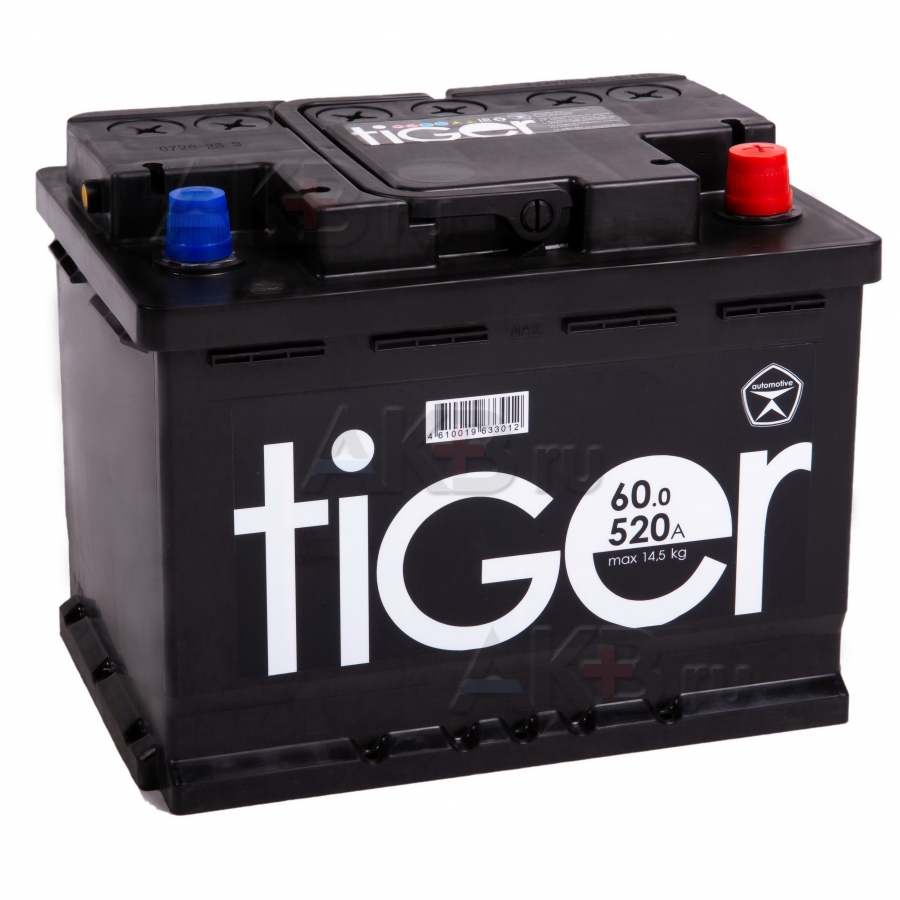 Автомобильный аккумулятор Tiger 60R 480A 242x175x190