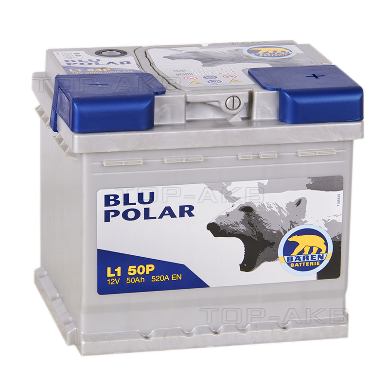 Автомобильный аккумулятор Baren Polar Blu 50R низкий 520A (207x175x175) L1B 50P