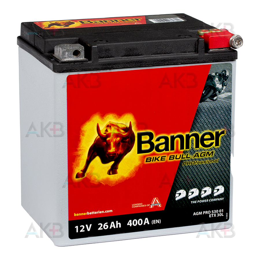 Мото аккумулятор Banner Bike Bull AGM PROfessional 53001 ETX30L 26 Ач обр. пол. 400А (166х126х175)