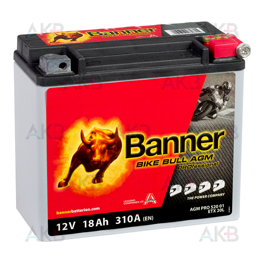 Мото аккумулятор Banner Bike Bull AGM PROfessional 52001 ETX20L 18 Ач обр. пол. 310А (175x87x155) YTX20H-BS, YTX20L-BS, YTX20HL
