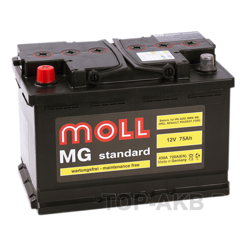 Автомобильный аккумулятор Moll MG Standard 75L 720A 276x175x190