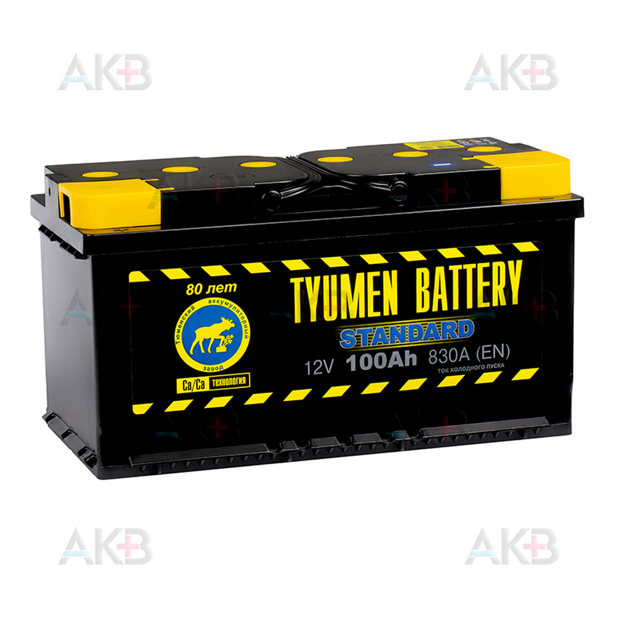 Автомобильный аккумулятор Tyumen Battery Standard 100 Ач прям. пол. 830A (353x175x190)