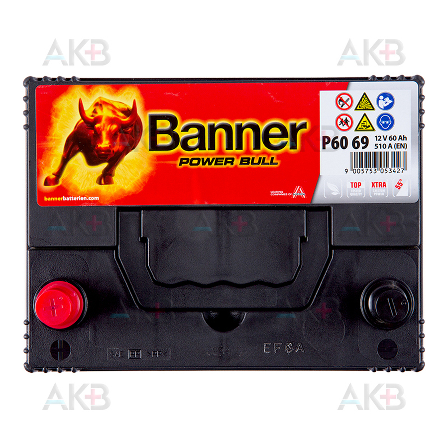 Автомобильный аккумулятор BANNER Power Bull (60 69) 60L 480A 233x173x225