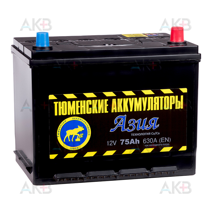 Аккумулятор Тюмень Купить В Туле