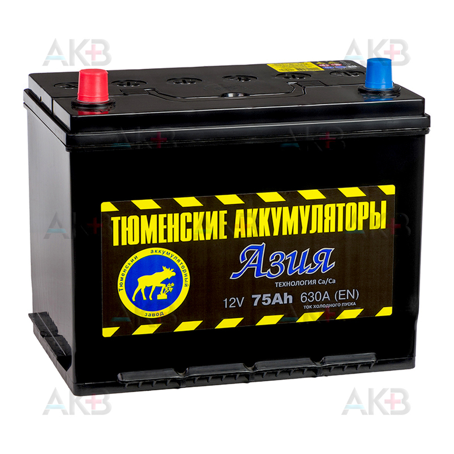 Тюмень Азия 60 Купить