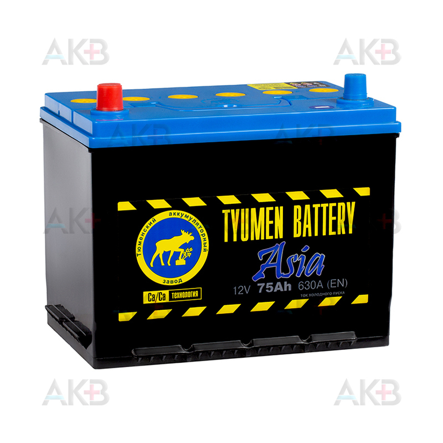 Автомобильный аккумулятор Tyumen Battery Asia 75 Ач прям. пол. 630A (266x173x225)
