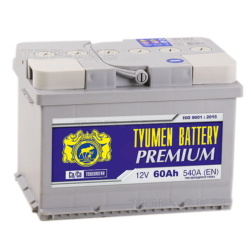 Автомобильный аккумулятор Tyumen Battery Premium 60 Ач прям. пол. низкий 540A (242x175x175)