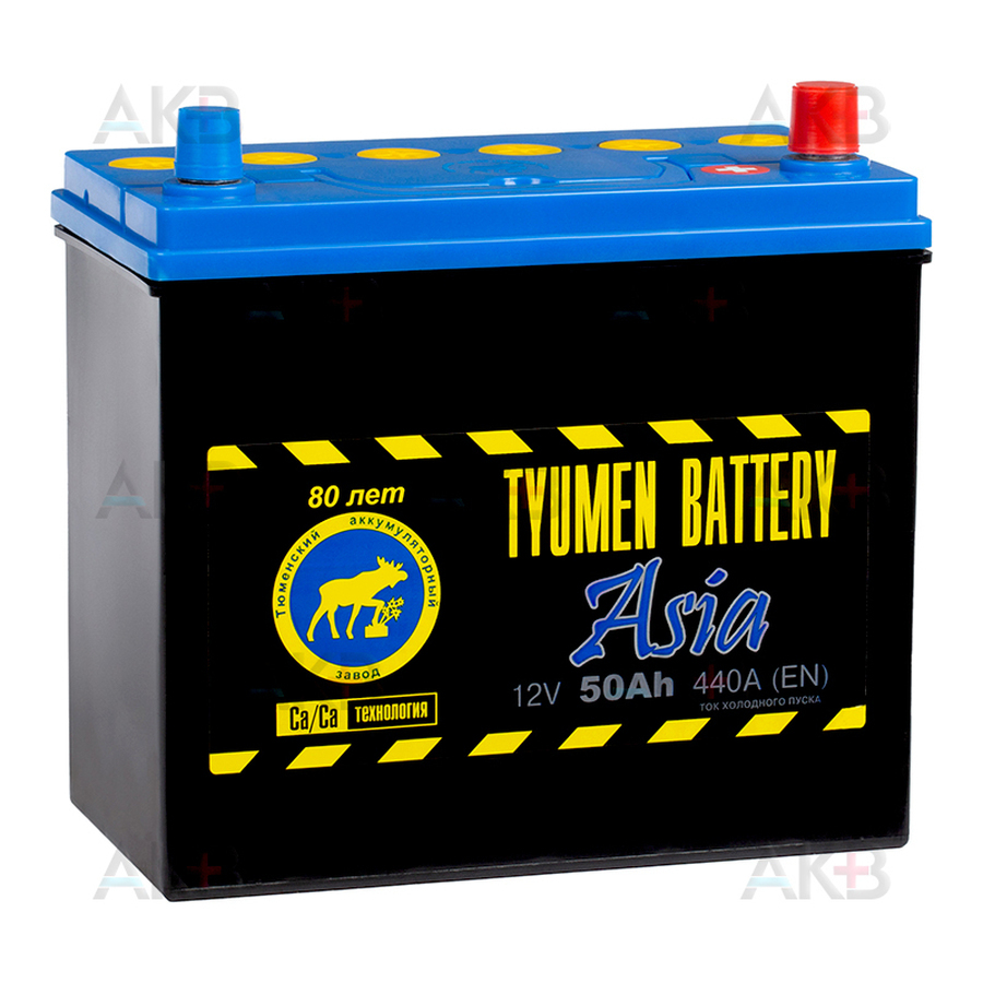 Автомобильный аккумулятор Tyumen Battery Asia 50 Ач обр. пол. 440A (238x129x227)