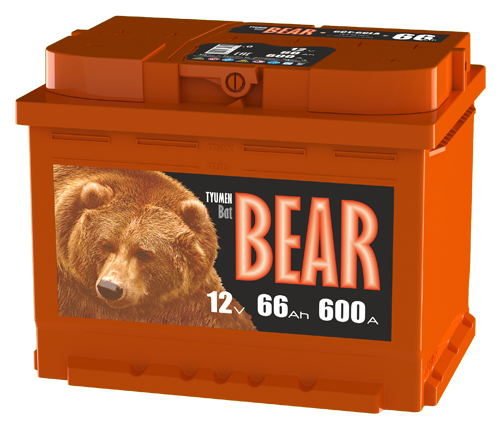 Автомобильный аккумулятор Tyumen BatBear 66L 600А 242x175x190