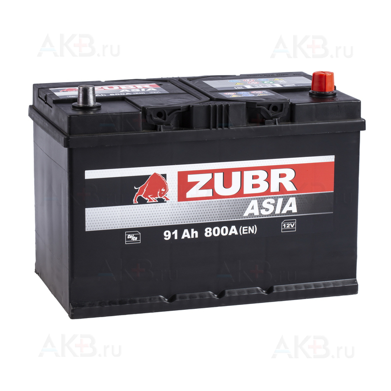 Автомобильный аккумулятор ZUBR 91R 800A (306x173x225) 591400074