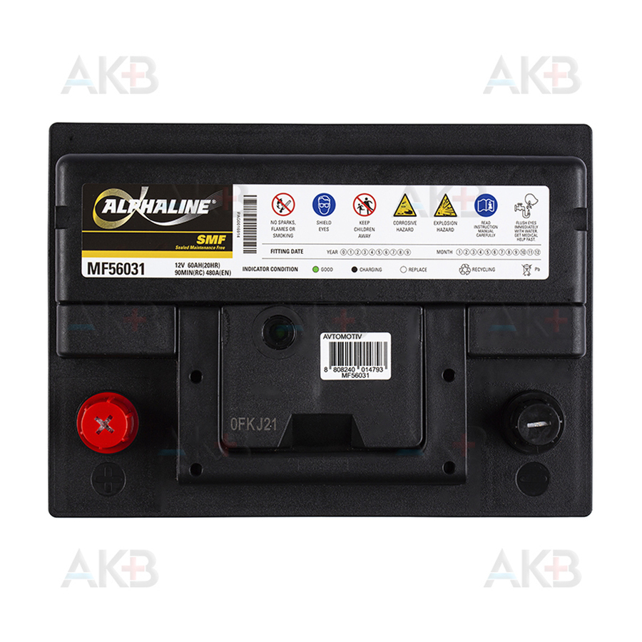 Автомобильный аккумулятор Alphaline Standard 56031 12V 60Ah 480A (242x175x190) L2 пр