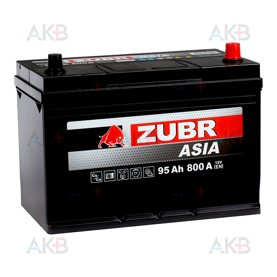 Автомобильный аккумулятор ZUBR Ultra Asia 95 Ач 820A (306x173x225) обр. пол.