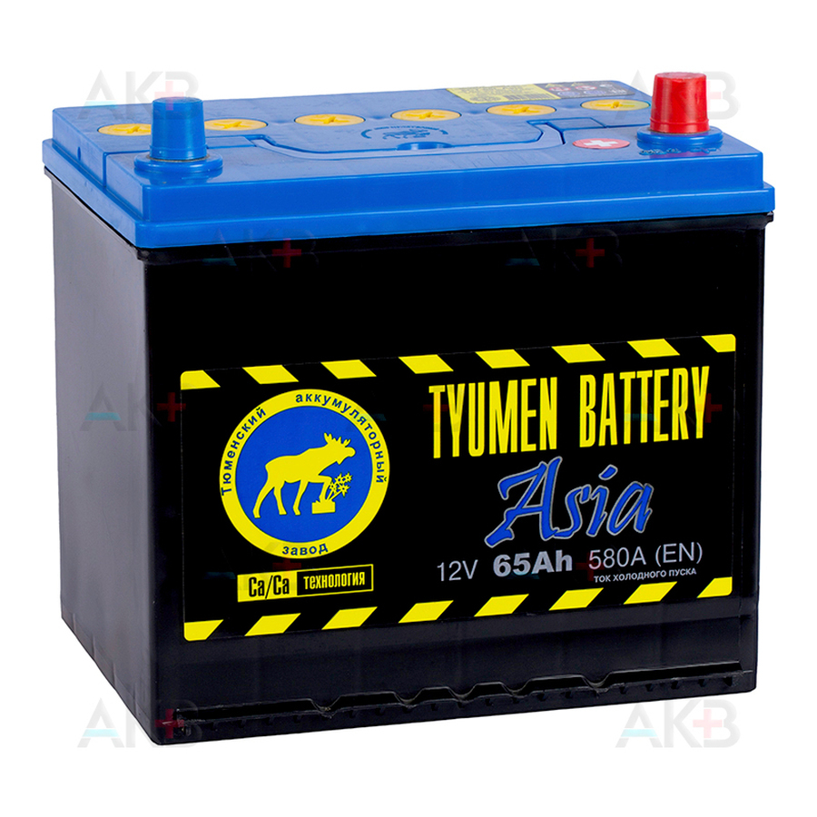 Battery 65. Аккумулятор Tyumen 65 Ah 580 a Battery Asia ОП. Тюмень АКБ 65 Азия. Автомобильный аккумулятор Tyumen Battery Asia 65 Ач обр. Пол. 580a (232x173x225). Тюмень Азия 6ст-65ач.