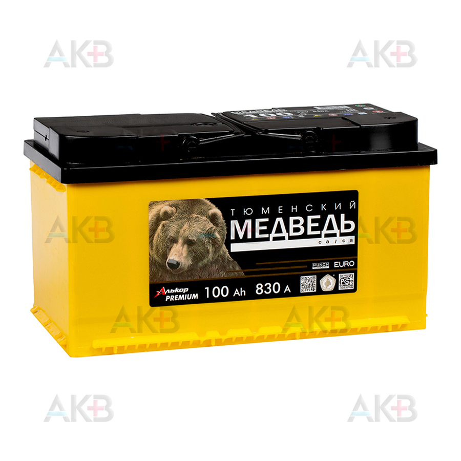 Автомобильный аккумулятор Тюменский медведь 100 Ач 830A п.п. (353x175x190) ca/ca