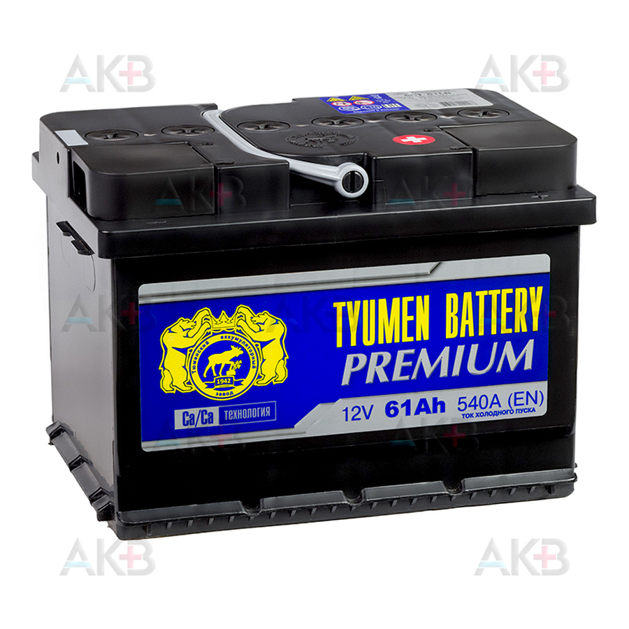 Автомобильный аккумулятор Tyumen Battery Premium 61 Ач обр. пол. низкий 540A (242x175x175)
