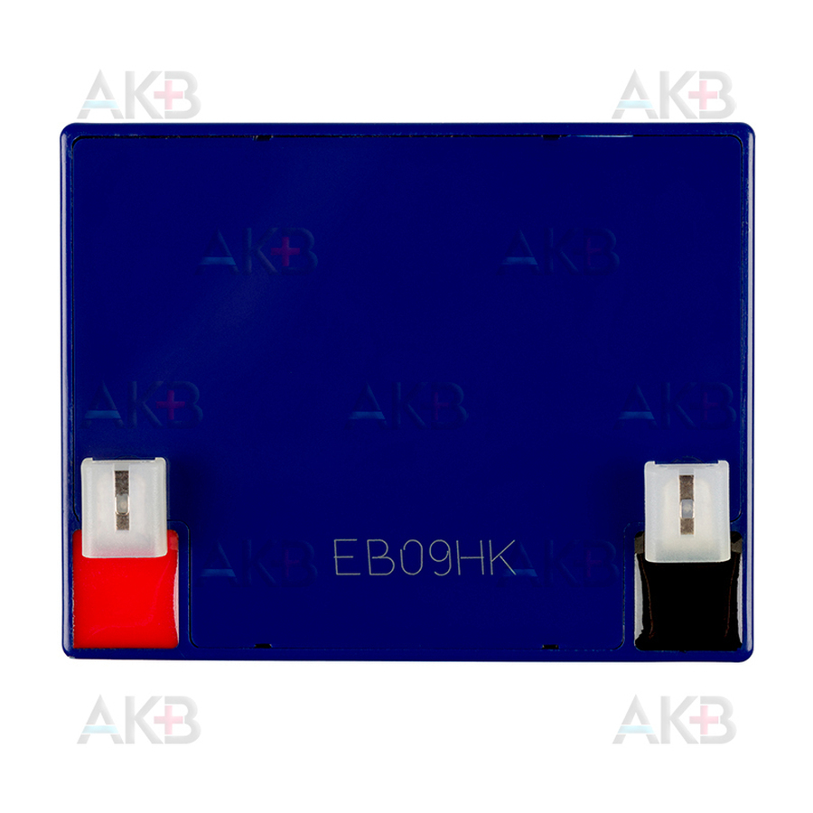 Аккумуляторная батарея B.EXPERT BHR 12-5  |  12V 5Ah (90х70х102)