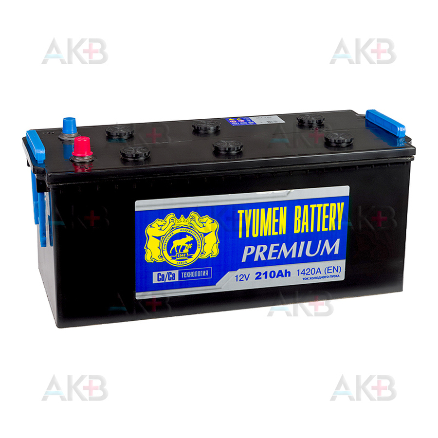 Автомобильный аккумулятор Tyumen Battery Premium 220 Ач прям. пол. 1450A (518x228x236)