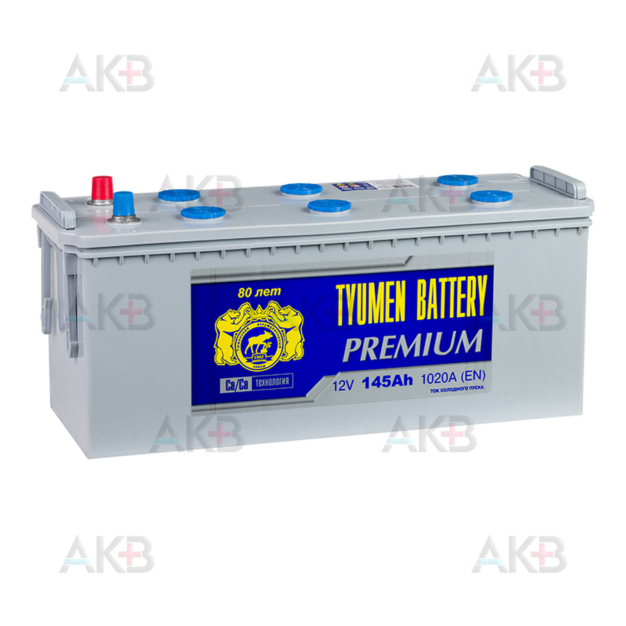 Автомобильный аккумулятор Tyumen Battery Premium 145 Ач обр. пол. 1020A (513x190x230)