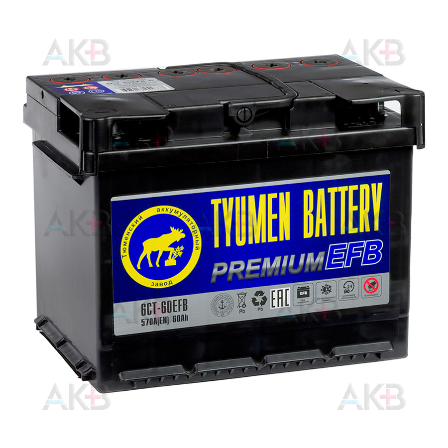 Автомобильный аккумулятор Tyumen Battery Premium EFB 60 Ач обр. пол. 570A (242x175x190) 6СТ-60EFB/R