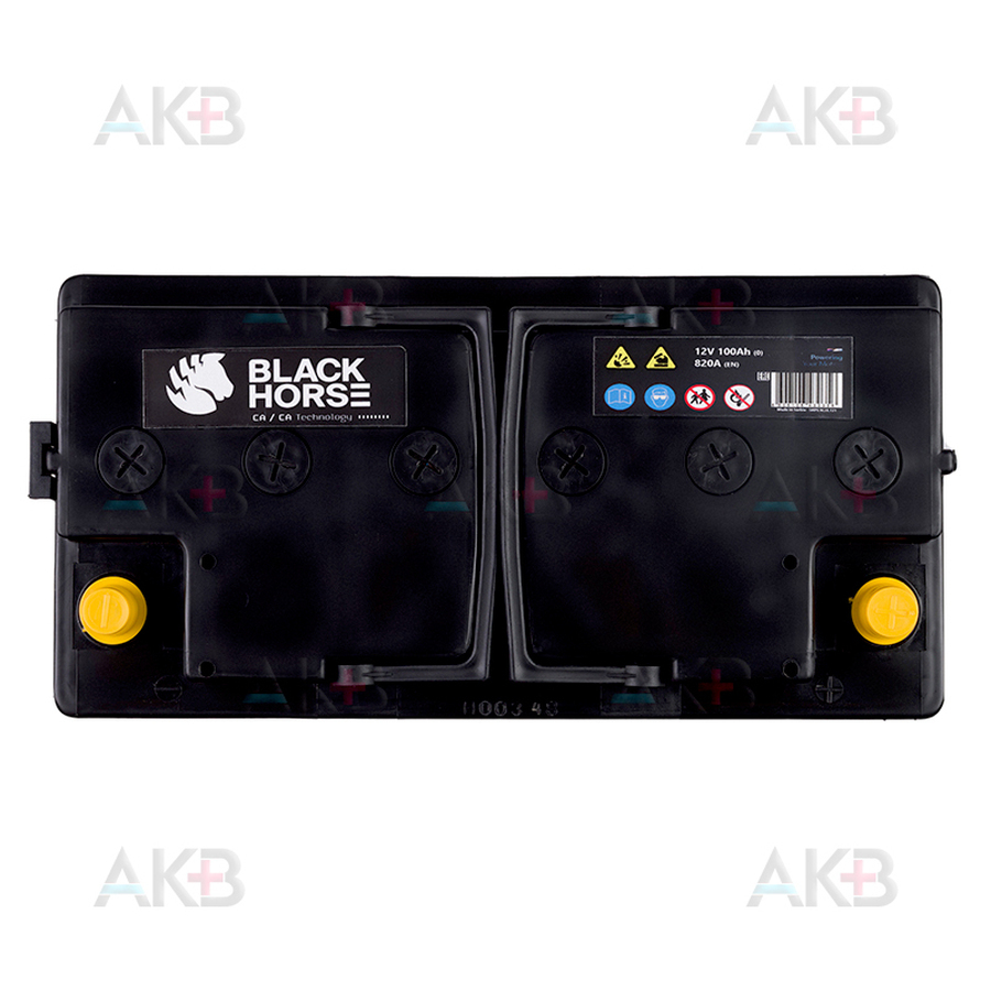 Автомобильный аккумулятор Black Horse 100R 820A 353x175x175 (низкий)