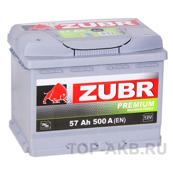 ZUBR Premium 57L 500A (242x175x190)