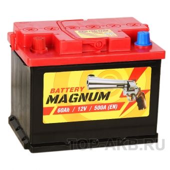 Magnum 60L 500A 242x175x190