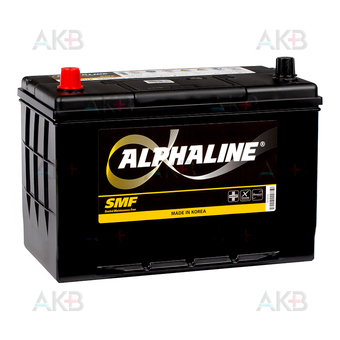 Alphaline Standard 105D31R 90L 750A 302x172x220