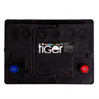 Автомобильный аккумулятор Tiger 60R 480A 242x175x190. Фото 2