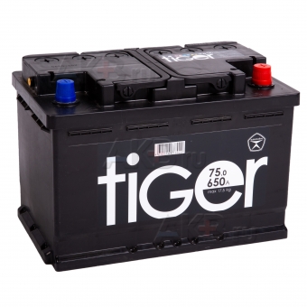 Tiger 75R 620A 278x175x190