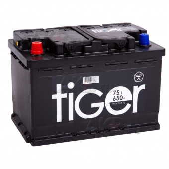 Tiger 75L 620A 278x175x190